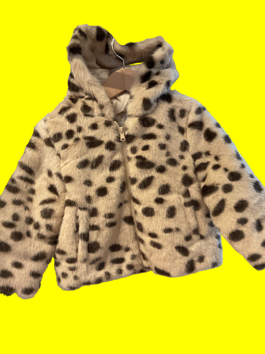 Jacket cheetah#26102