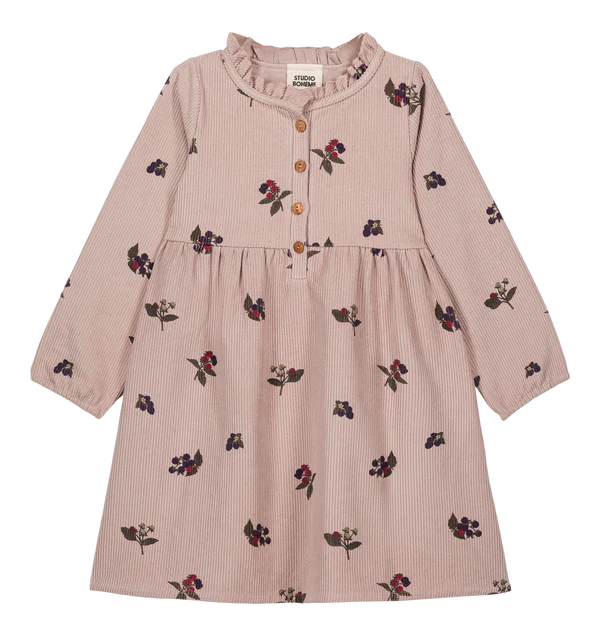 Vermont Dress