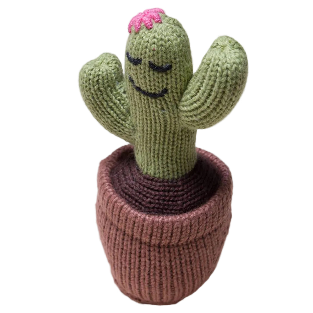 Baby Rattle Toy-Cactus (Handmade)