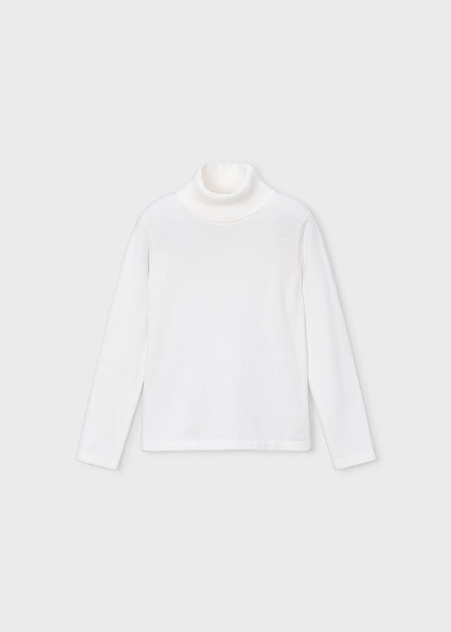 Basic Knitting Turtleneck