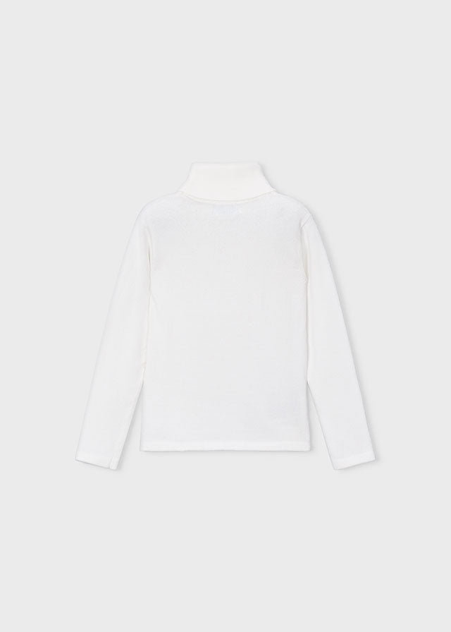 Basic Knitting Turtleneck