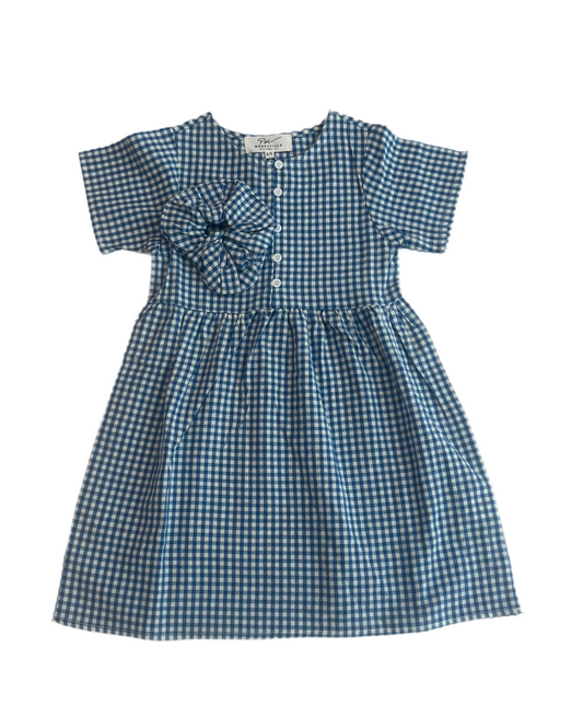gingham dress and scrunchy