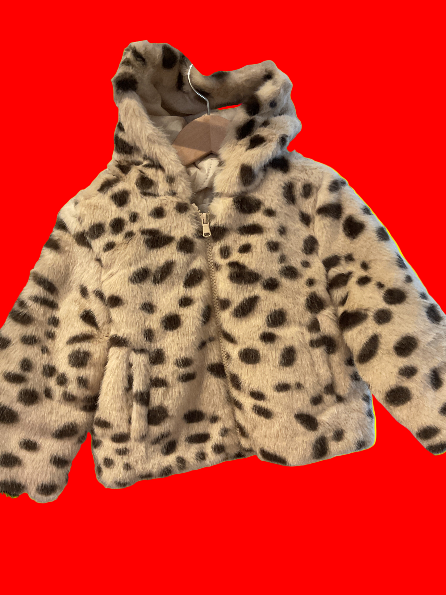 Jacket cheetah#26102