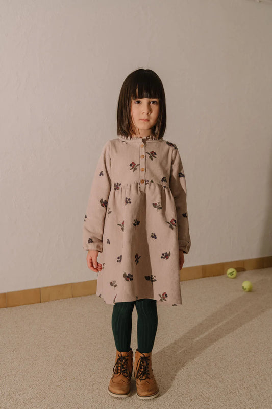Vermont Dress