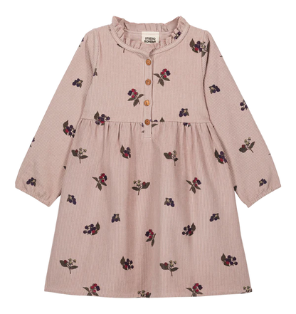 Vermont Dress