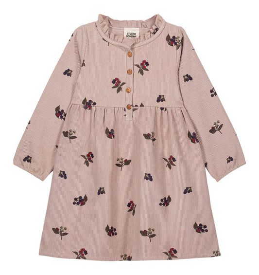 Vermont Dress
