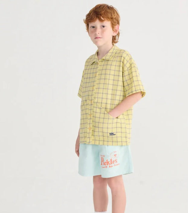 BC spicy window pane shirt