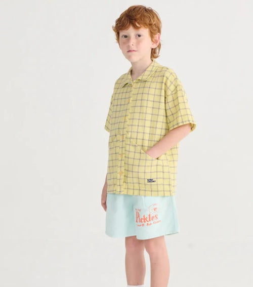 BC spicy window pane shirt