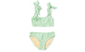 Shimmer mint 2 pc swim