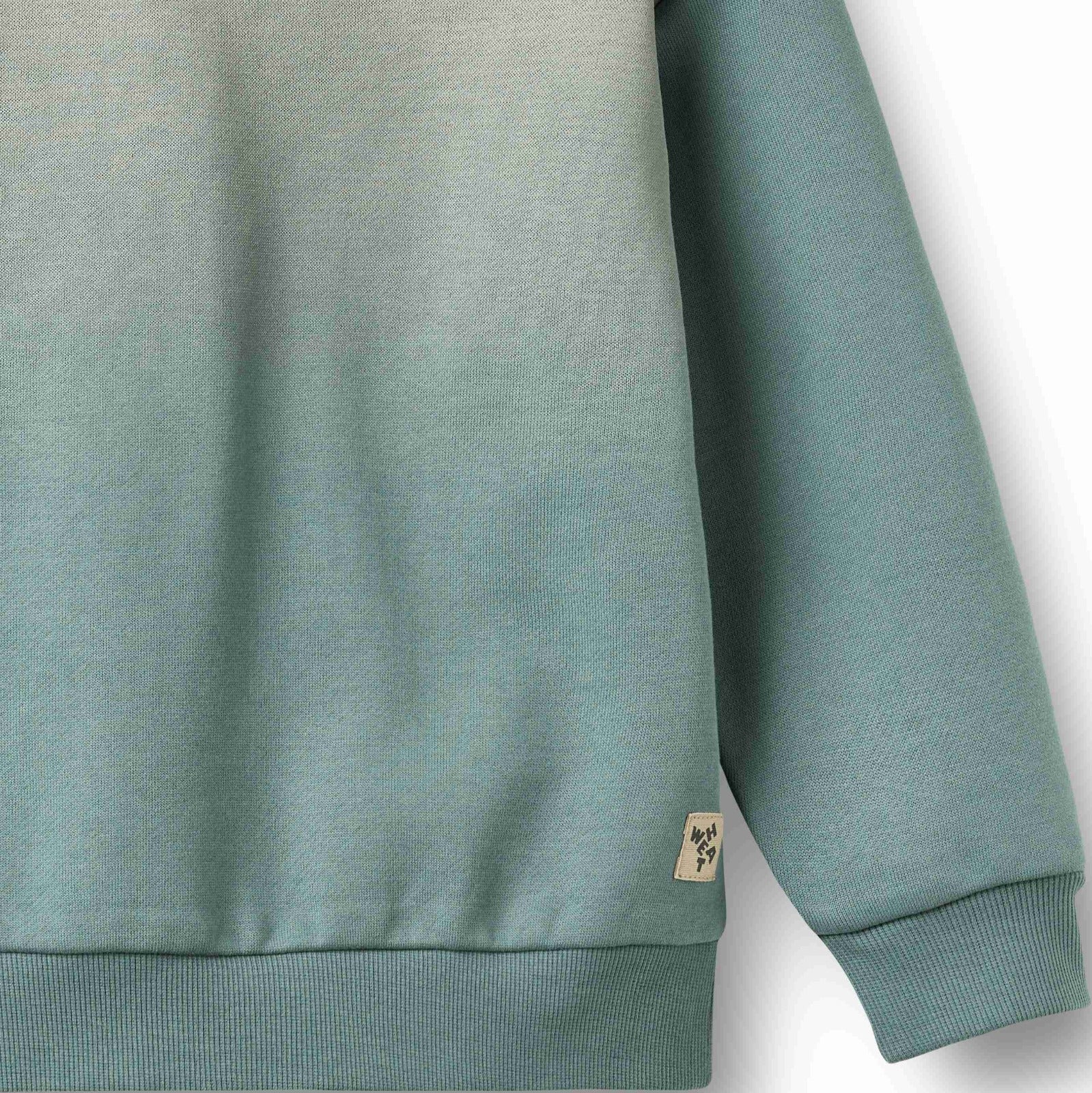 Sweatshirt ls Elis fade