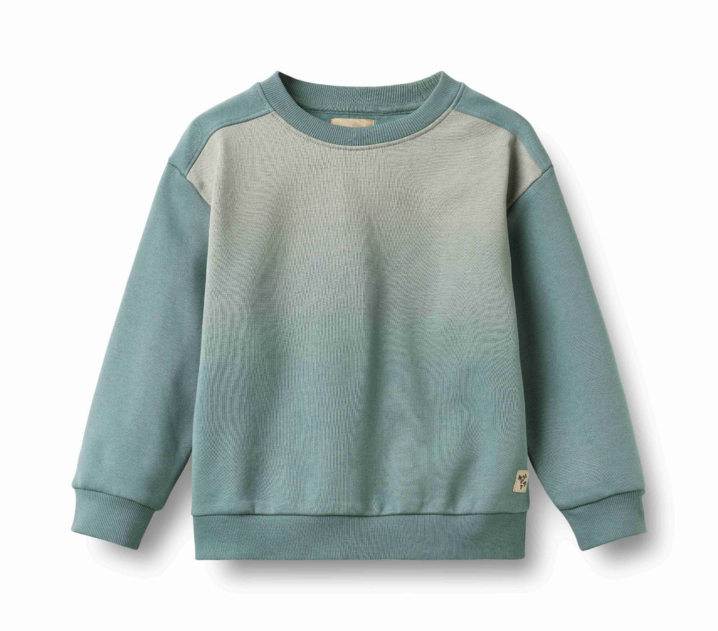 Sweatshirt ls Elis fade