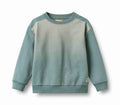 Sweatshirt ls Elis fade