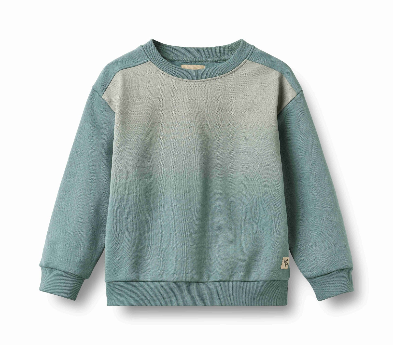 Sweatshirt ls Elis fade