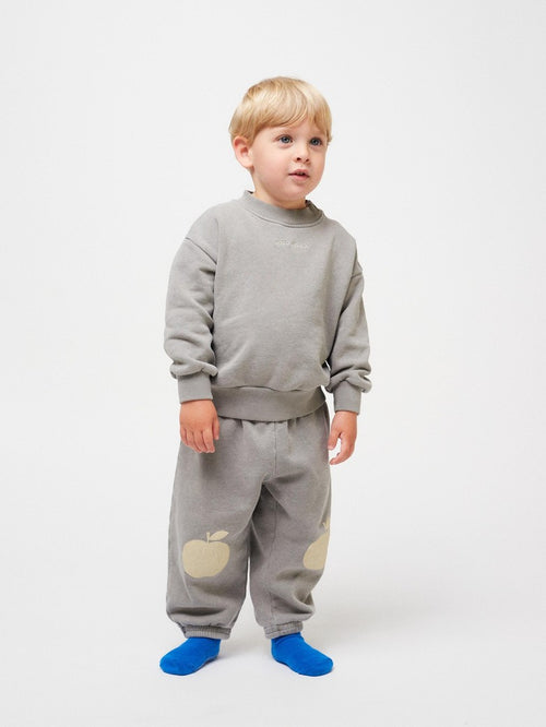 Baby poma grey sweatshirt